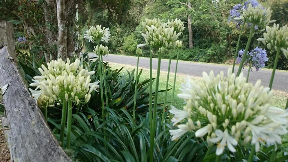 The Paddocks Villa Maleny Semesterbostad
